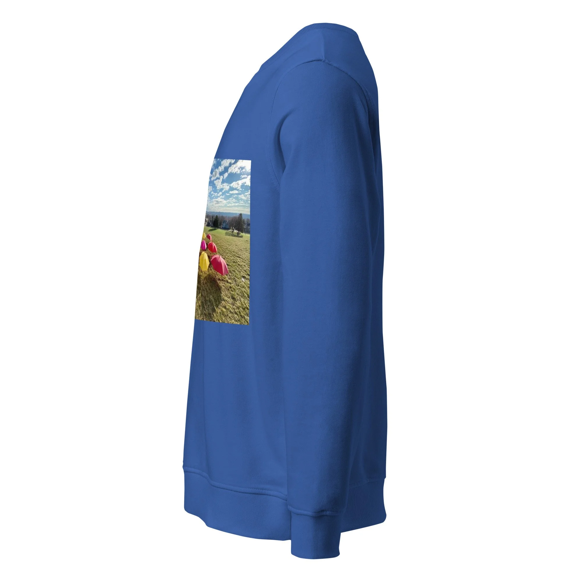 unisex-organic-sweatshirt-royal-blue-left-69e3ac513d484.jpg