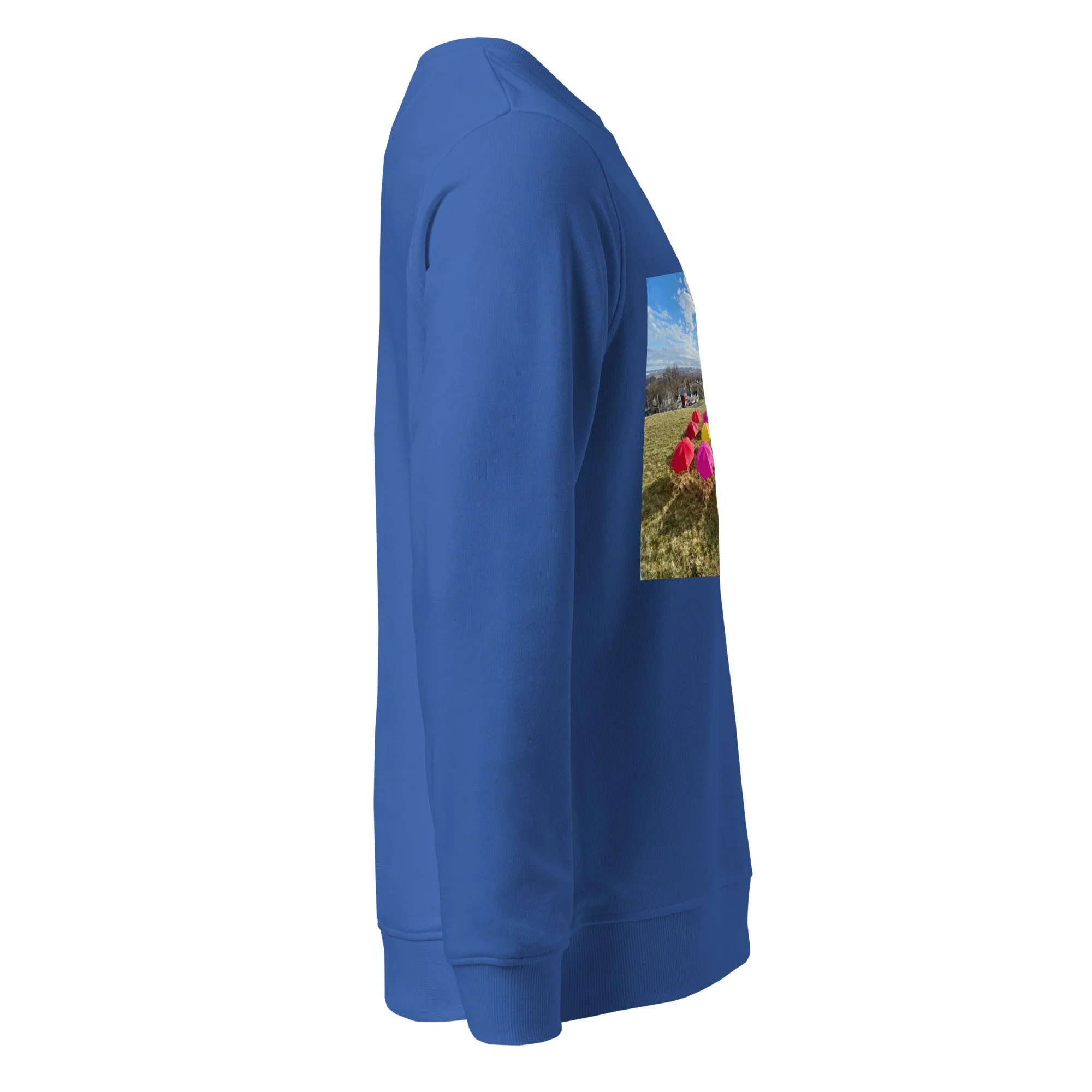 unisex-organic-sweatshirt-royal-blue-right-69e3ac513e056.jpg