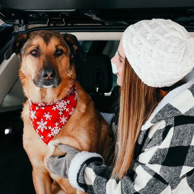 At Markquart, we have vehicles that can fit your furry friends too! Today is the LAST day to vote for Volume One's Best of the Chippewa Valley Reader Poll! We'd appreciate your vote for us as the &quot;BEST place to buy a new car!&quot; .
.
.
#captur