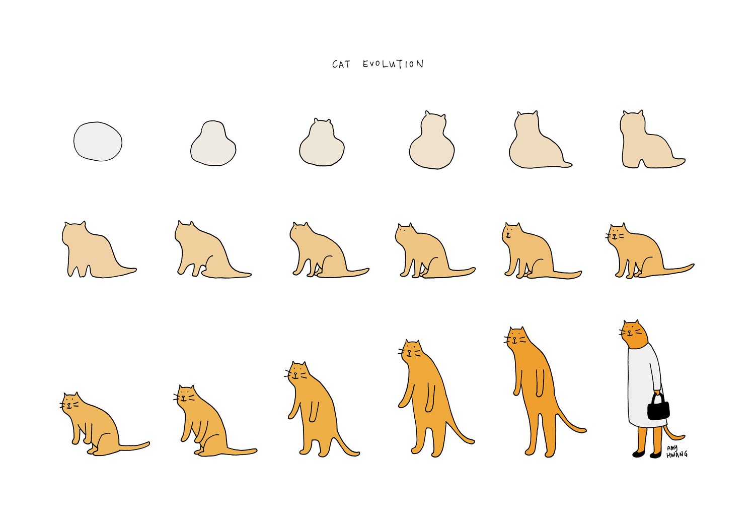 Etsy-cat-evolution-13x19-color copy.gif