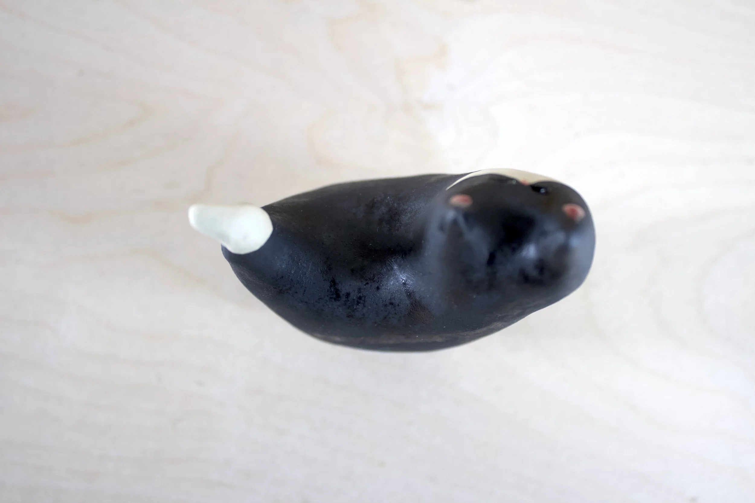 Top view Tuxedo handmade ceramic cat sculpture.jpeg