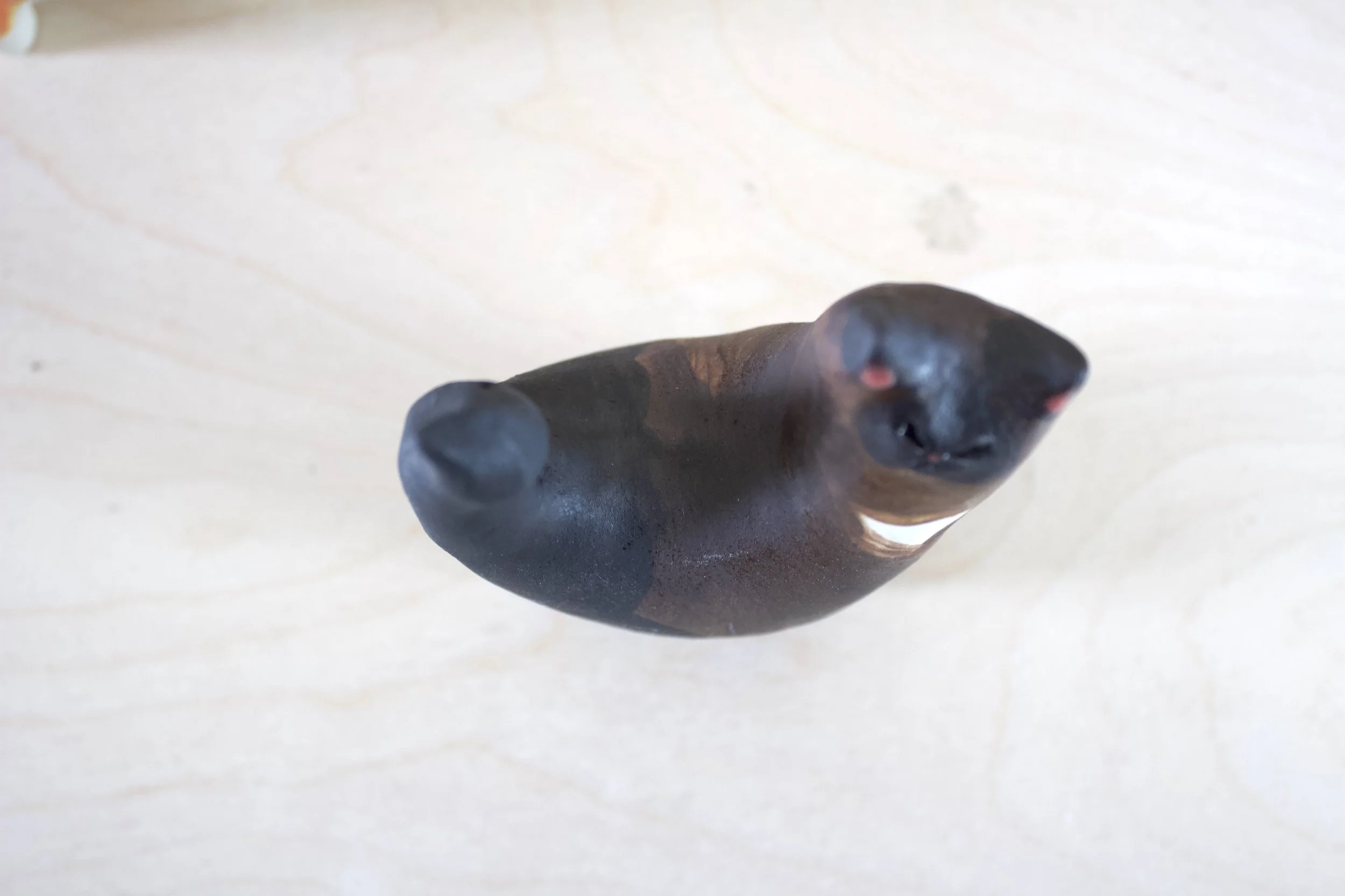 Top view Chocolate Point Siamese handmade ceramic cat sculpture.jpeg
