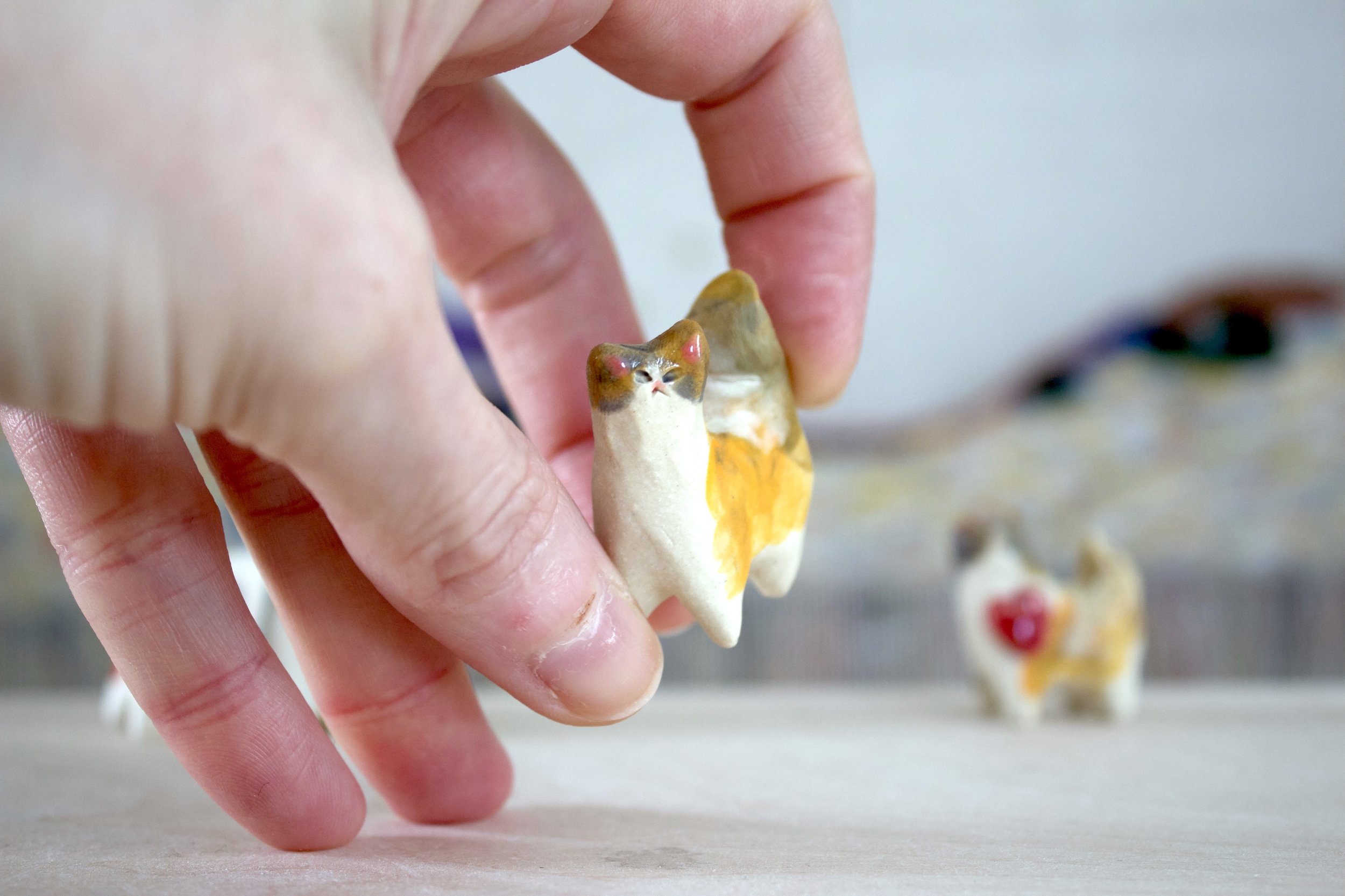 IMG_0627.jpeg