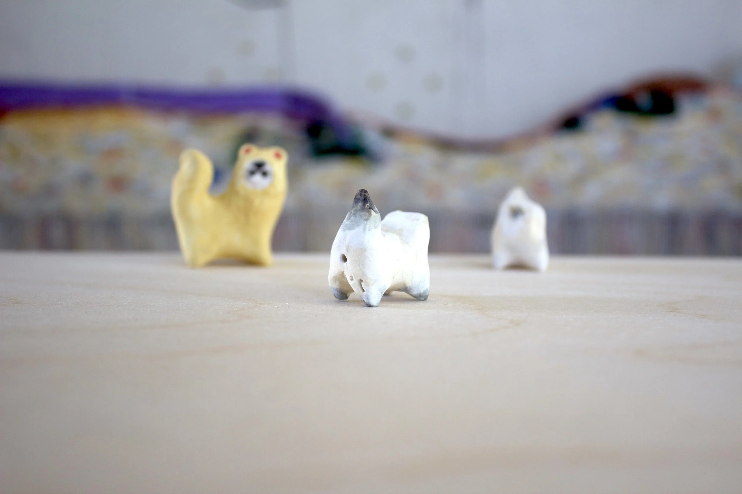 IMG_0477.jpeg