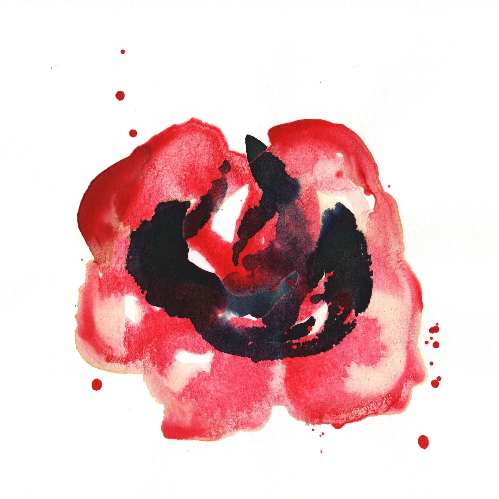 207.Rose.9.3.14.jpg