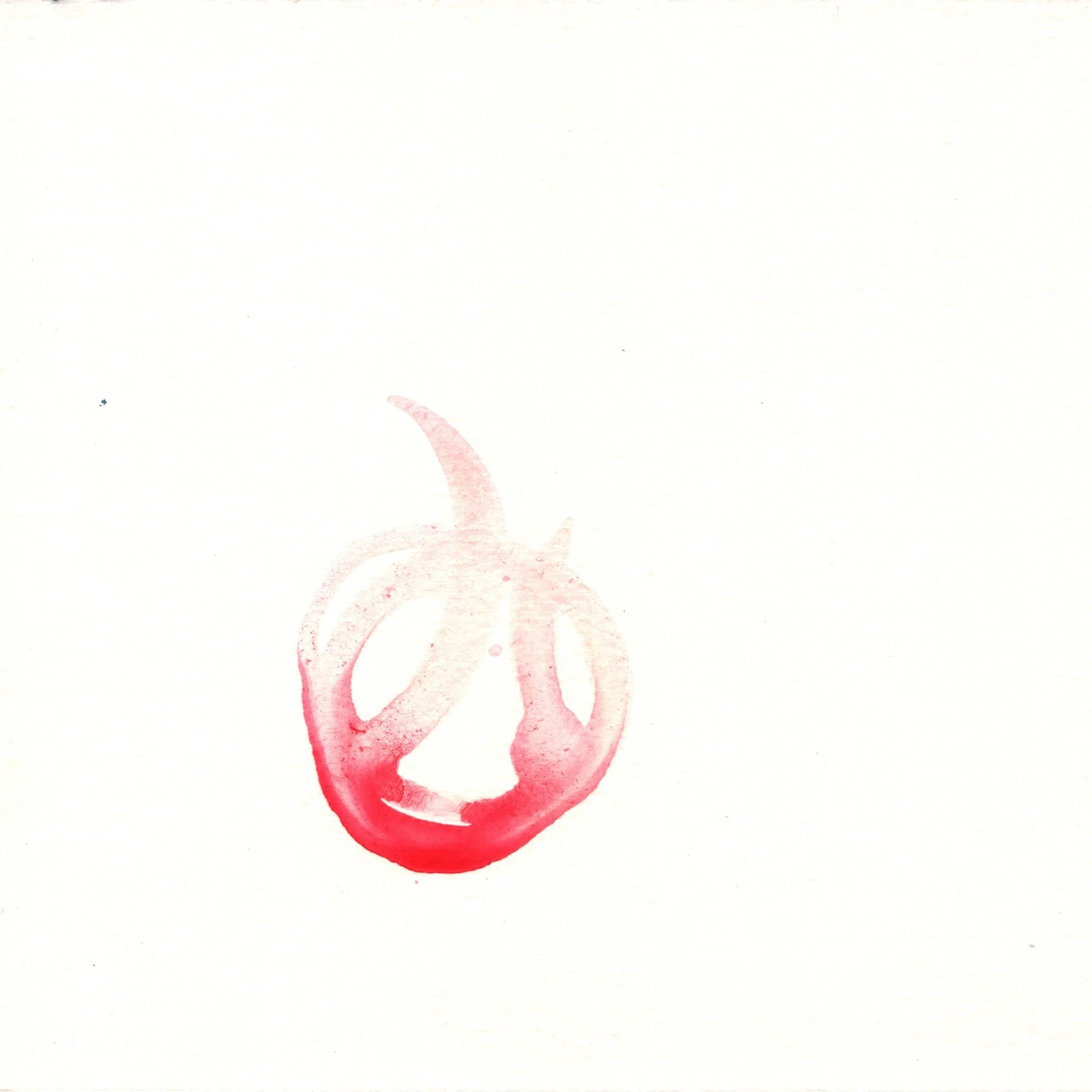 240.Double.Tulip.10.6.14.jpg