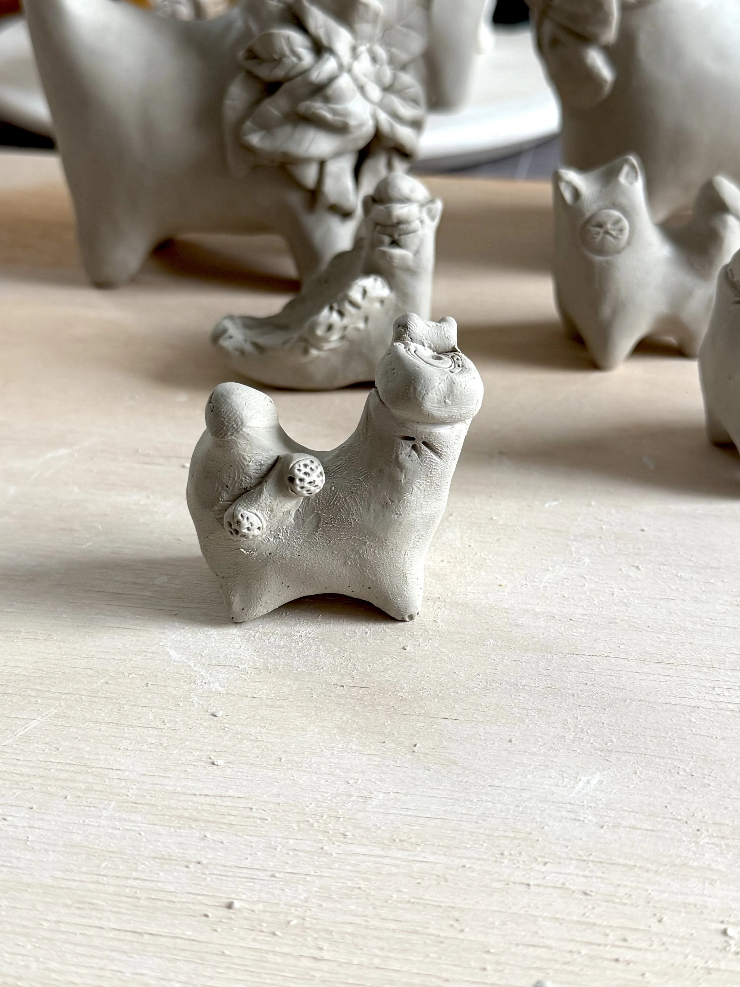 IMG_1437.jpeg (Copy)