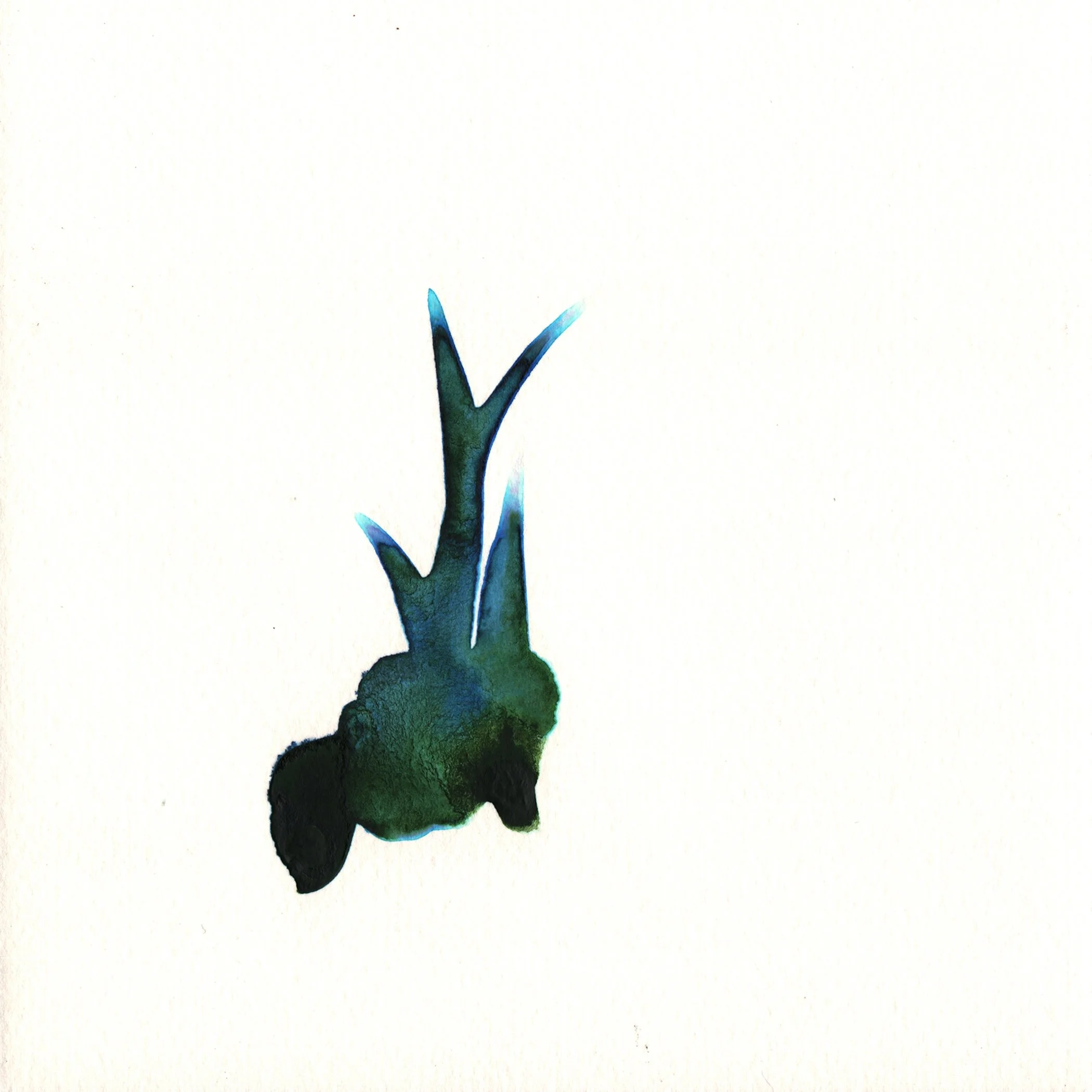 242.Aloe.Bud.10.8.14.jpg