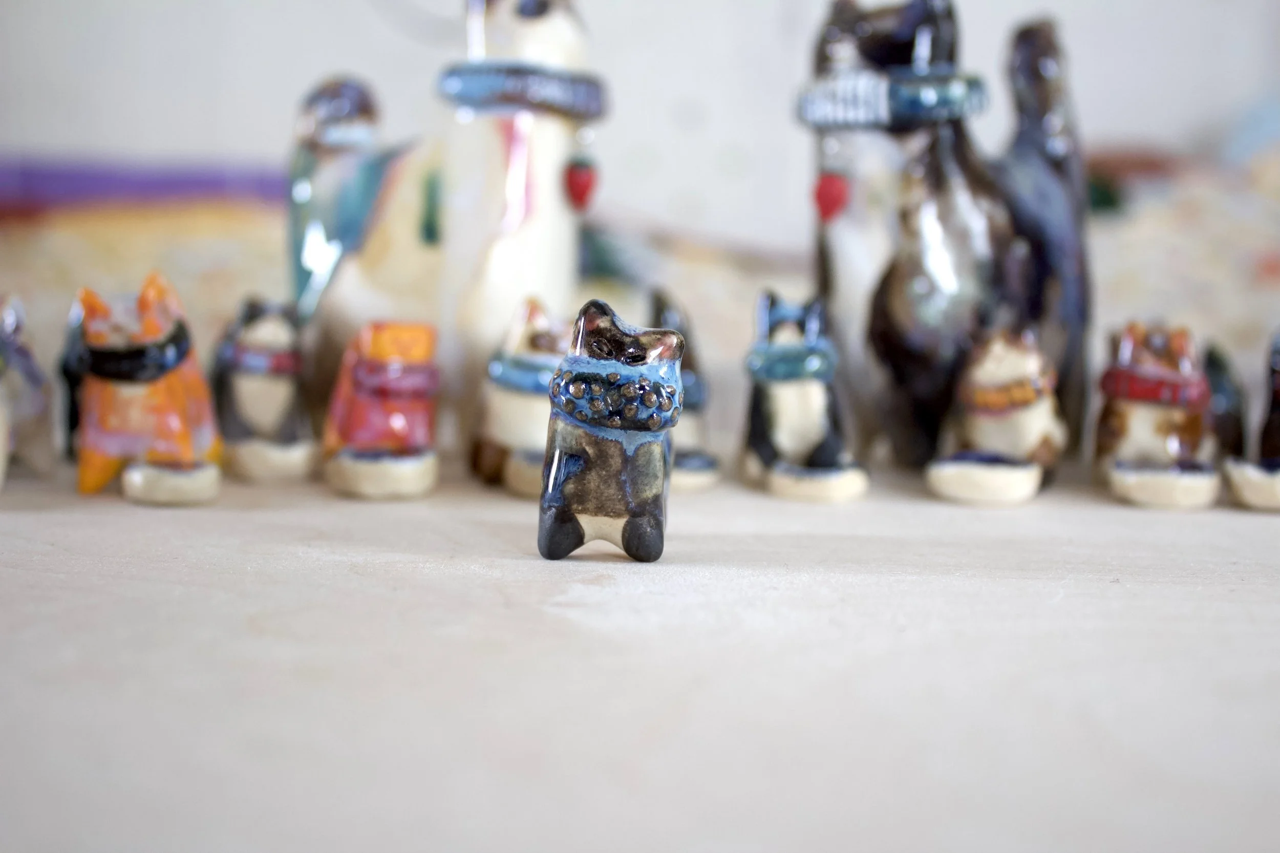 IMG_0527.jpeg