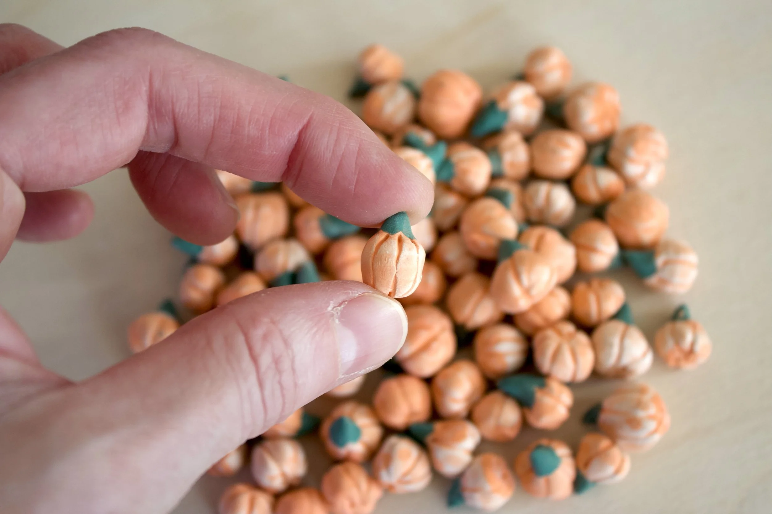 IMG_0612.jpeg (Copy) (Copy) (Copy) (Copy)