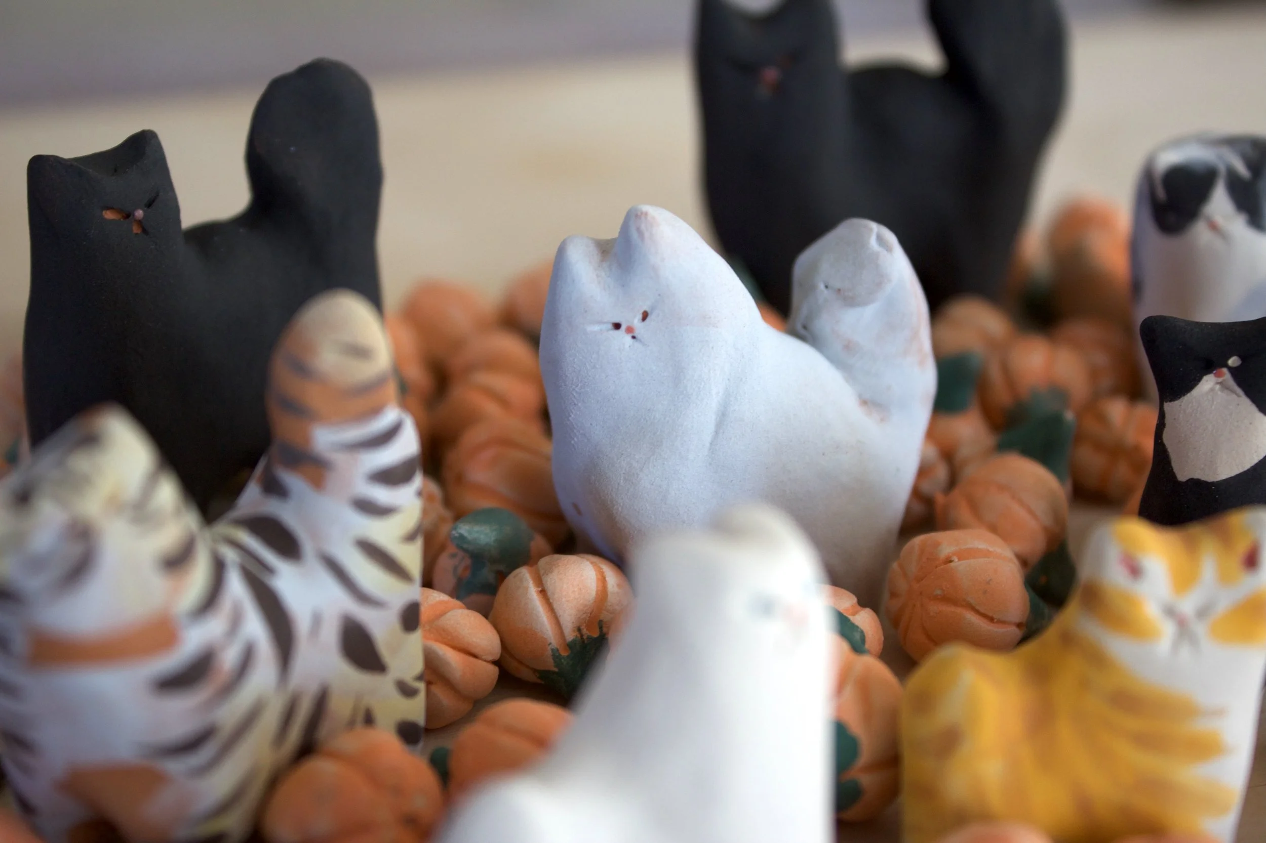 IMG_0560.jpeg (Copy) (Copy) (Copy) (Copy) (Copy) (Copy)