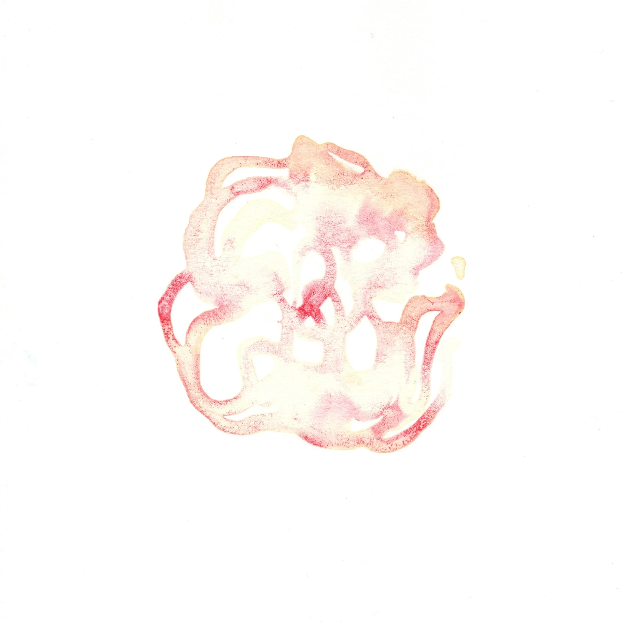 252.Dianthus.10.18.14.jpg