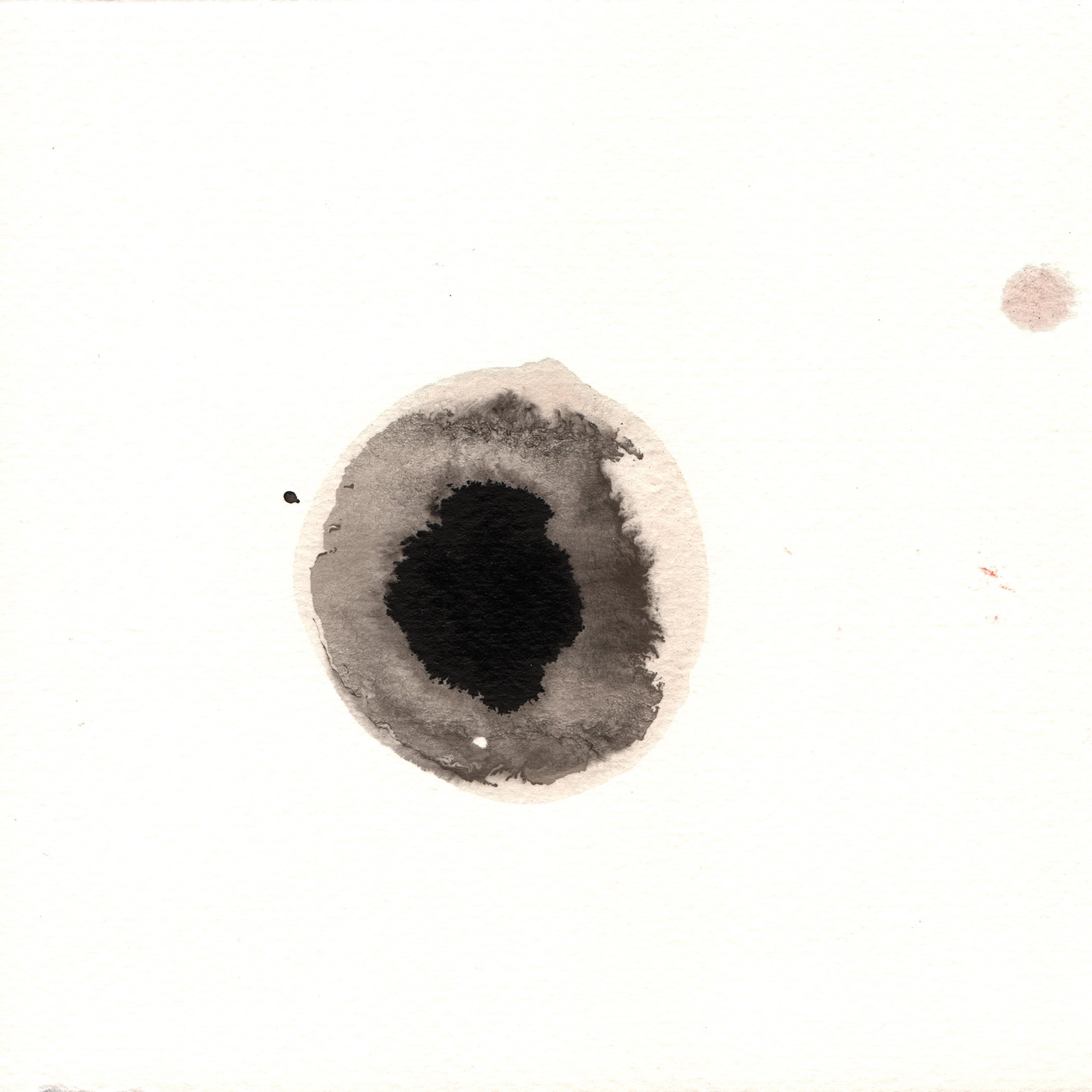 231.Lichen.9.27.14.jpg