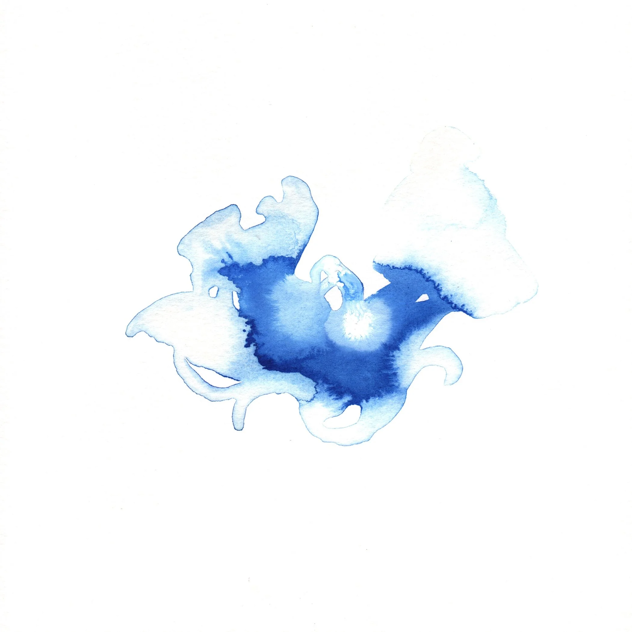 175.Jelly.Flower.8.2.14.jpg