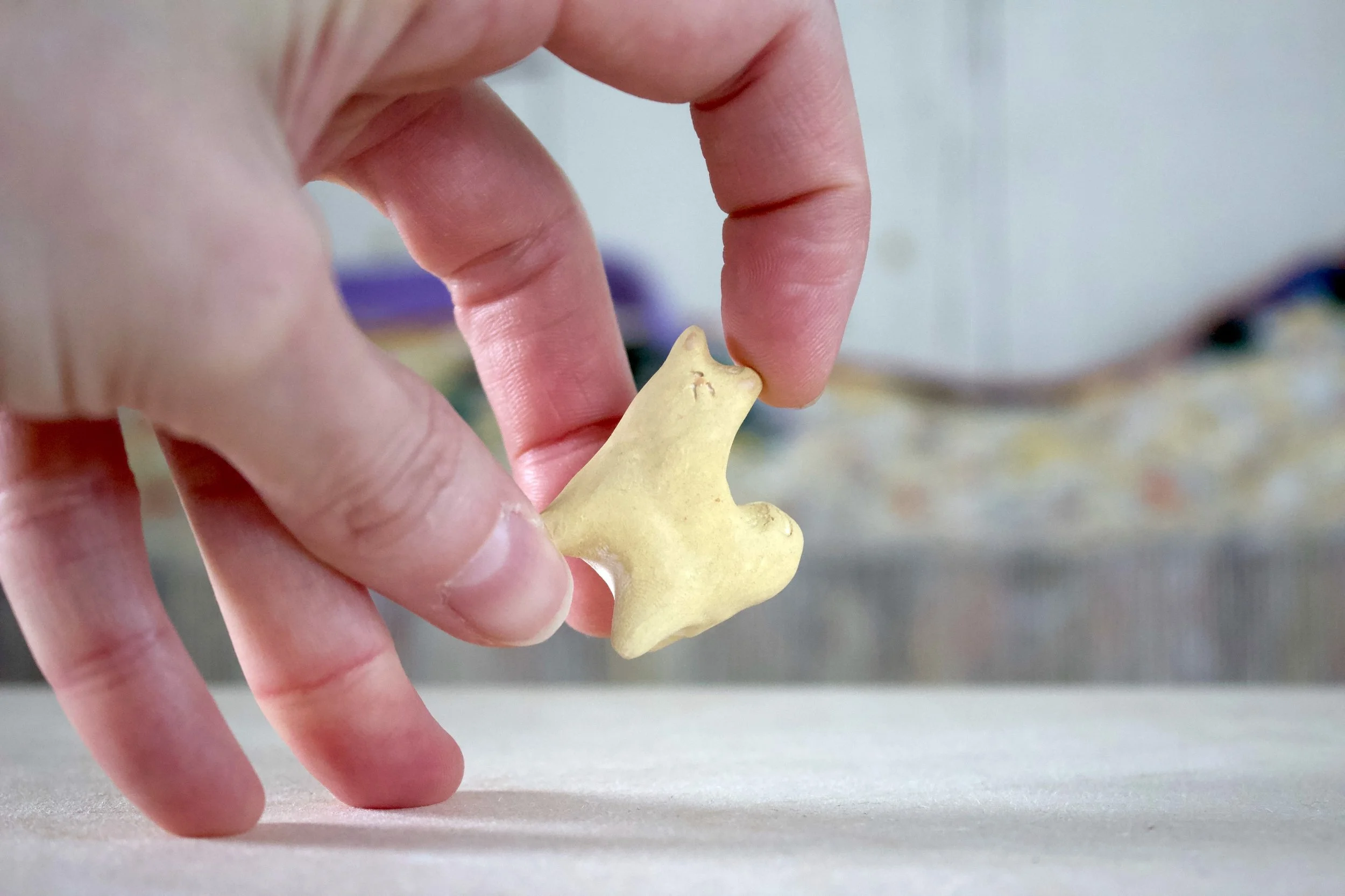 IMG_0516.jpeg