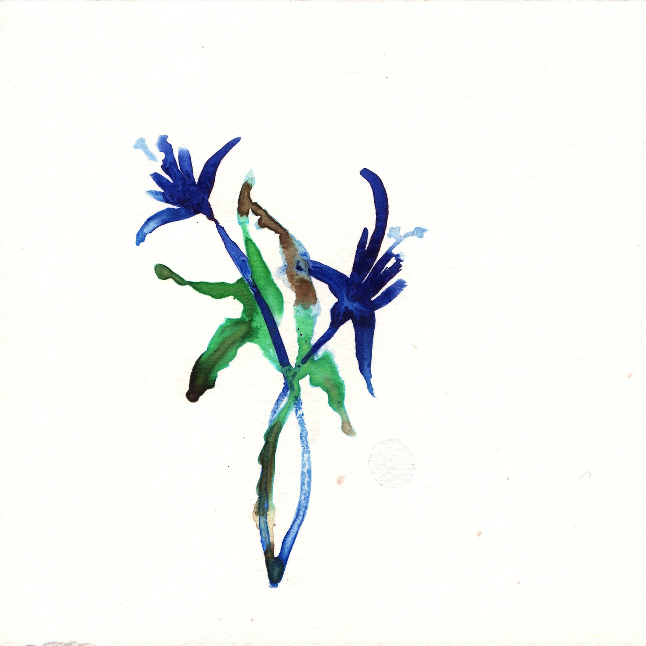 232.Daffodil.9.28.14.jpg