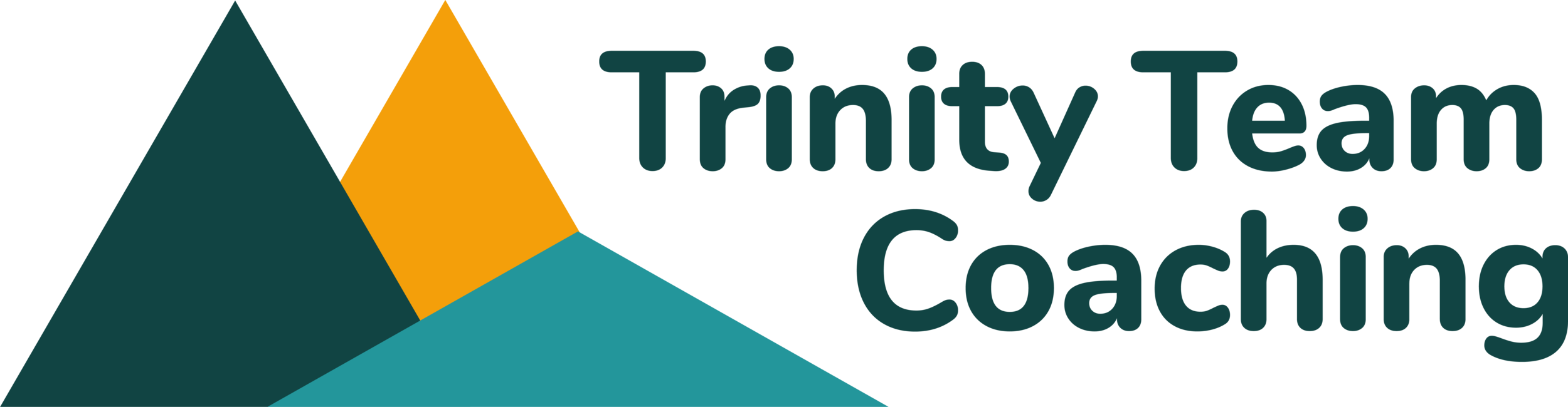 Trinity Team Coaching