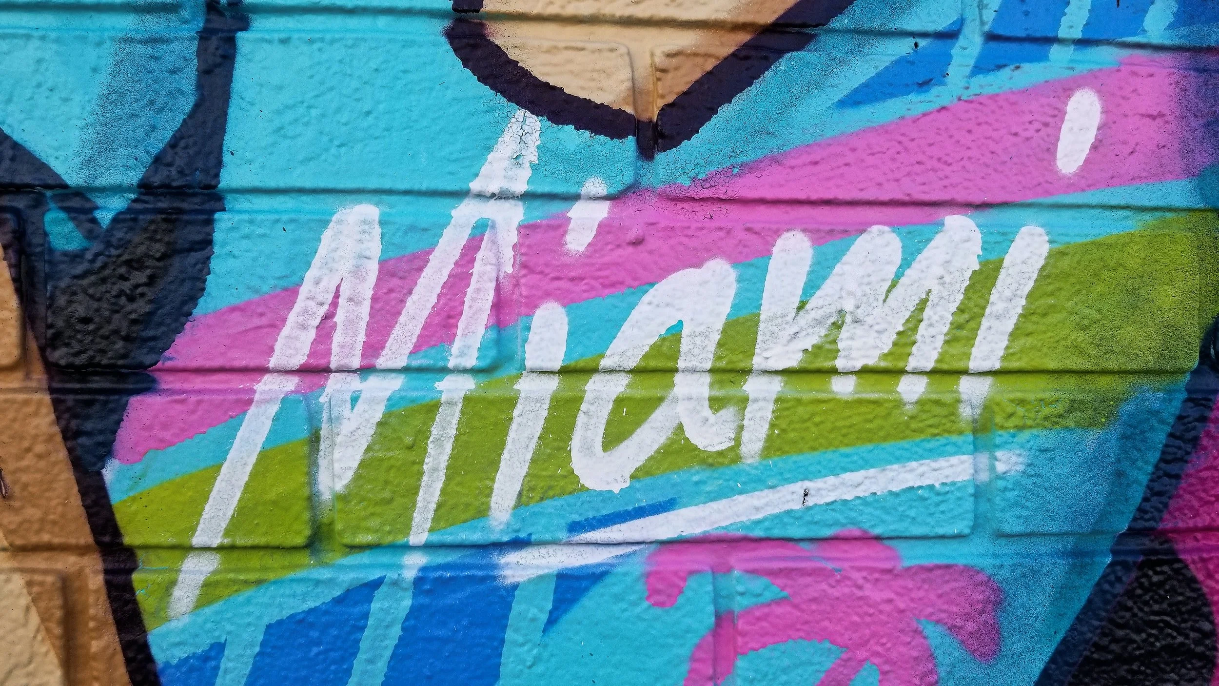 8 Great Restaurants to Try in Miami, Florida