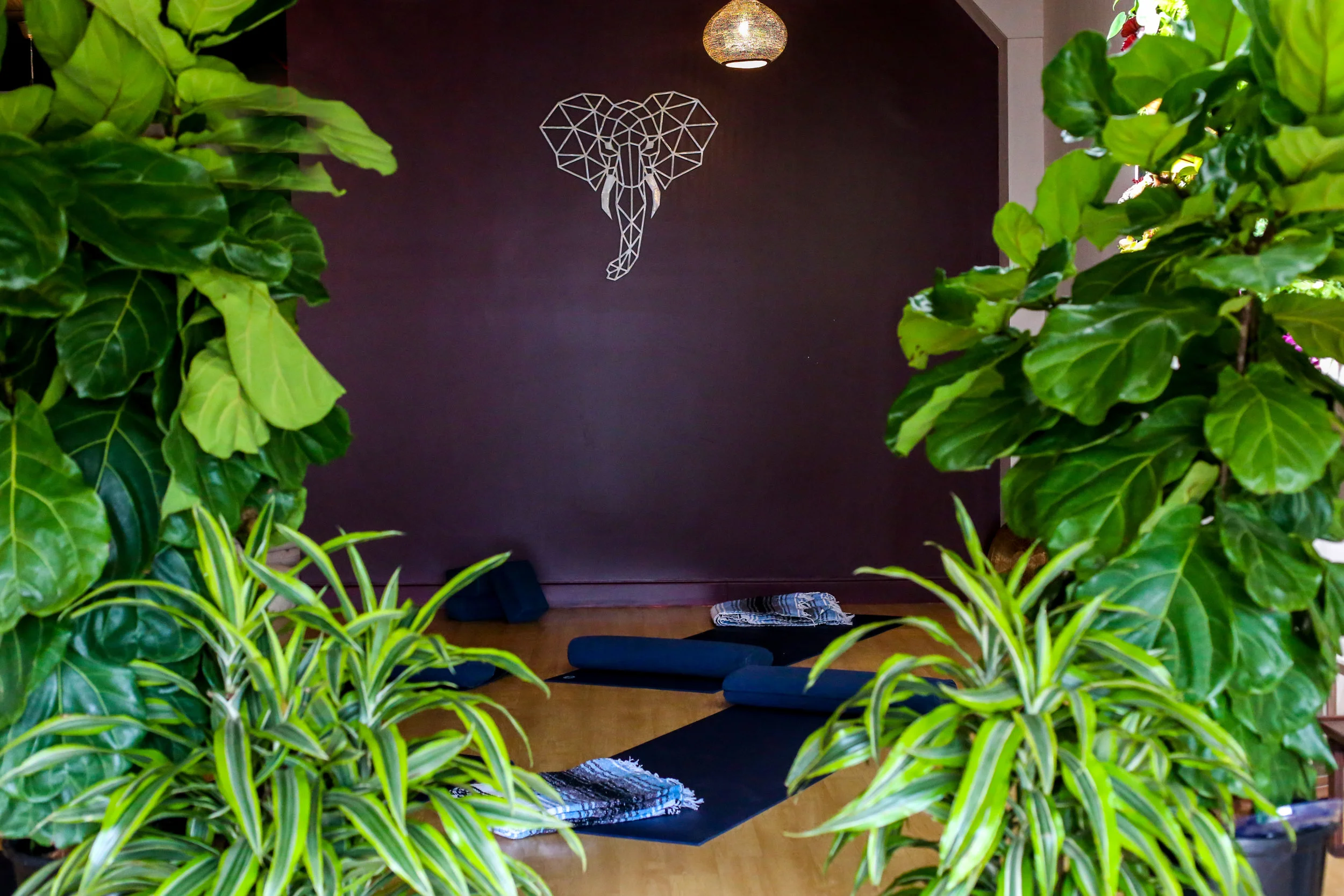 Attachment-1 27.jpeg