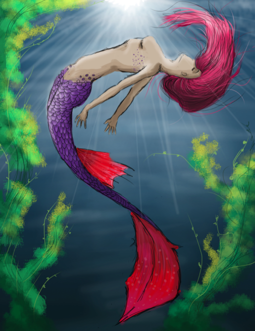 Screen Shot 2017-05-11 at 2.01.22 AM.png