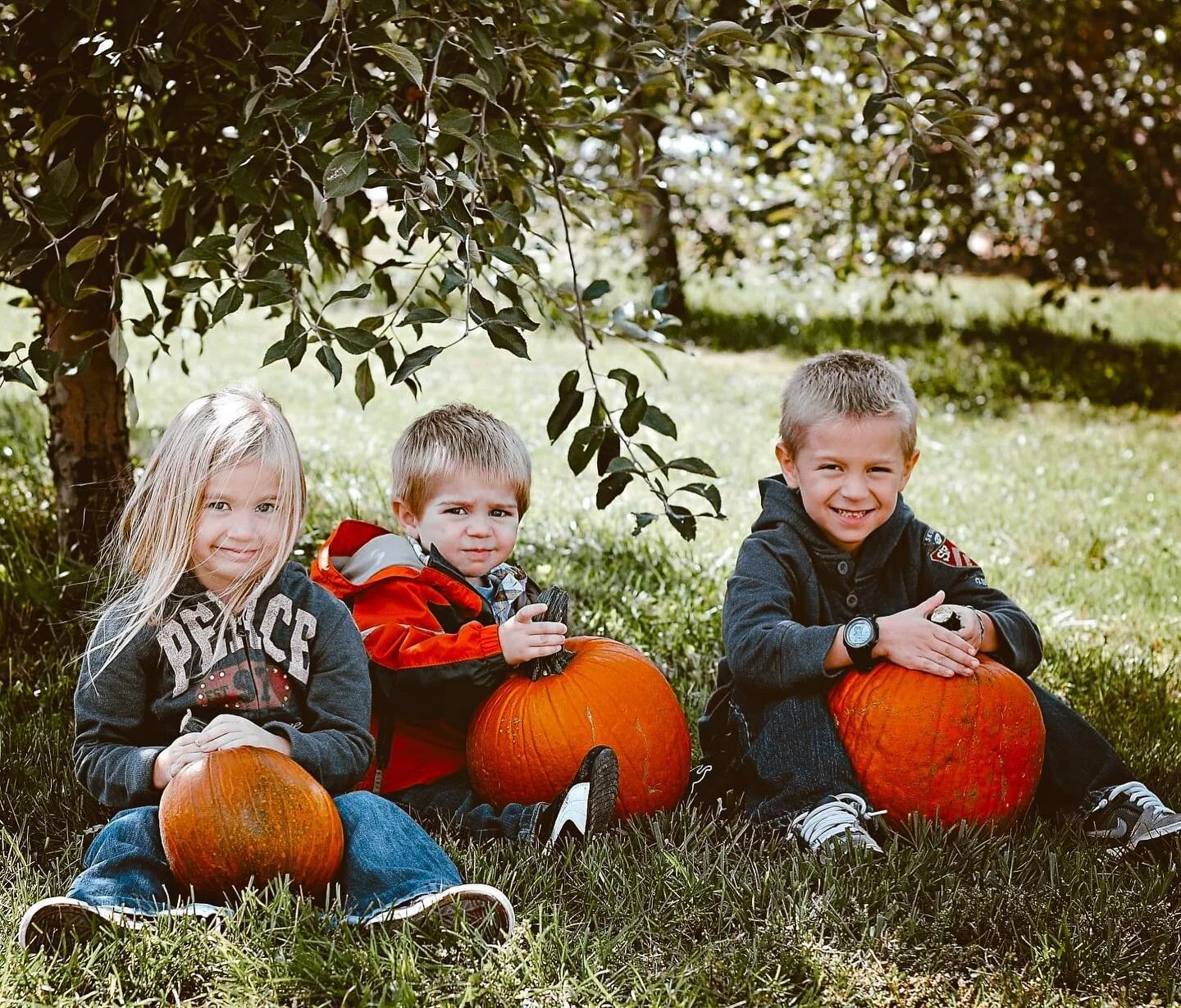 these BABIES!! gonna go cry now 😭😭😭⁣
⁣
The news is saying trick-or-treating is &ldquo;high risk,&rdquo; and they recommend zoom costume parties instead. 🥴 so. Happy October? 🎃💀