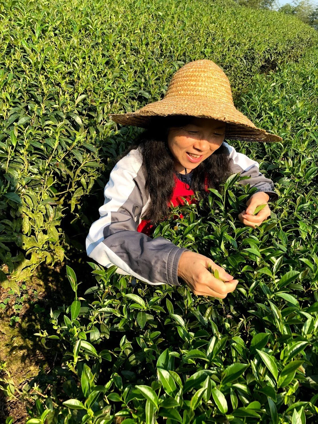 那一年，她離開在都市的家搬到未曾造訪的南投茶山