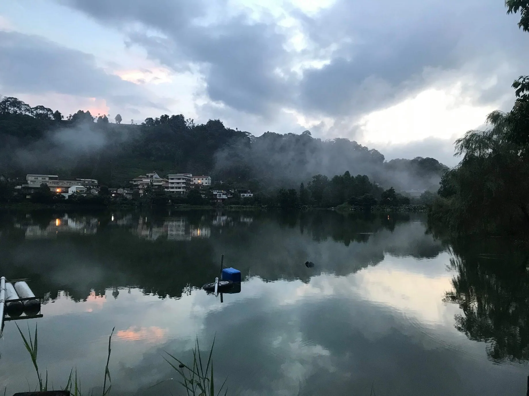 我們將茶山之霧帶到城市了