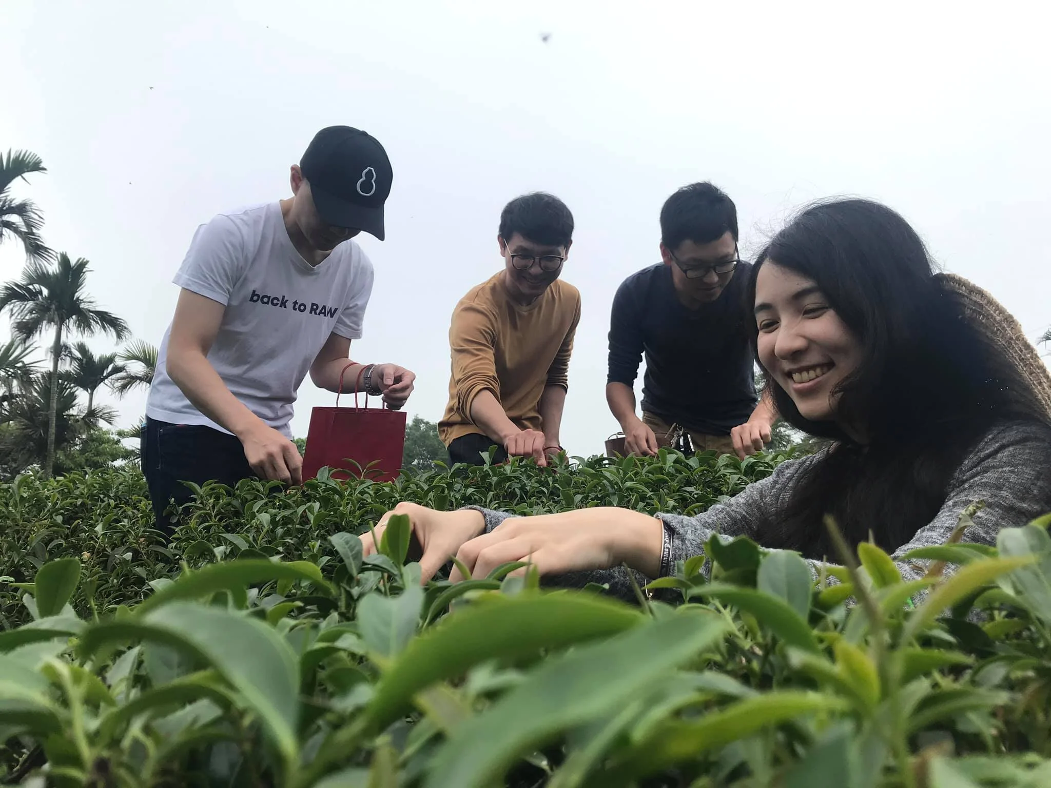 製茶師品茶師廚師調茶師的相遇