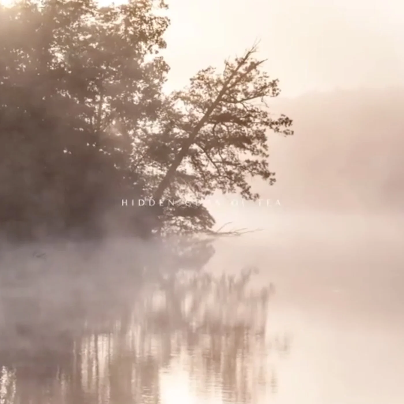 “You can cut all the flowers but you cannot keep Spring from coming.” – Pablo Neruda