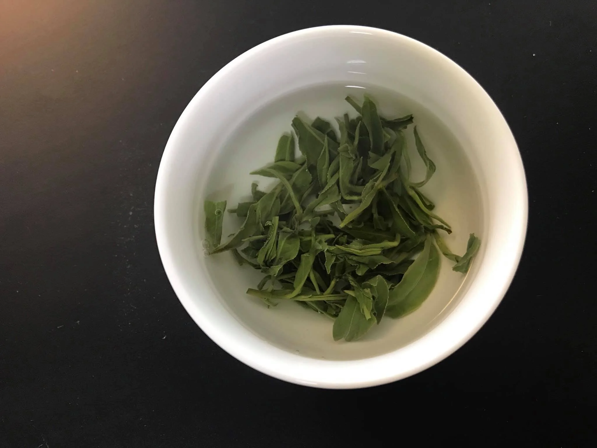 KALoN lab 產地研發會議進行中