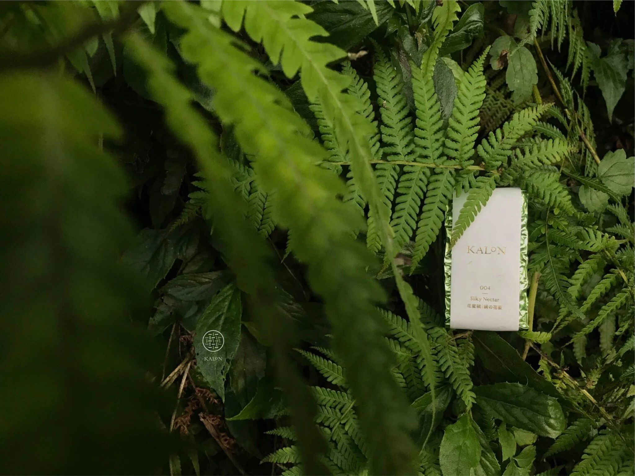 004花蜜絨初次正式登台