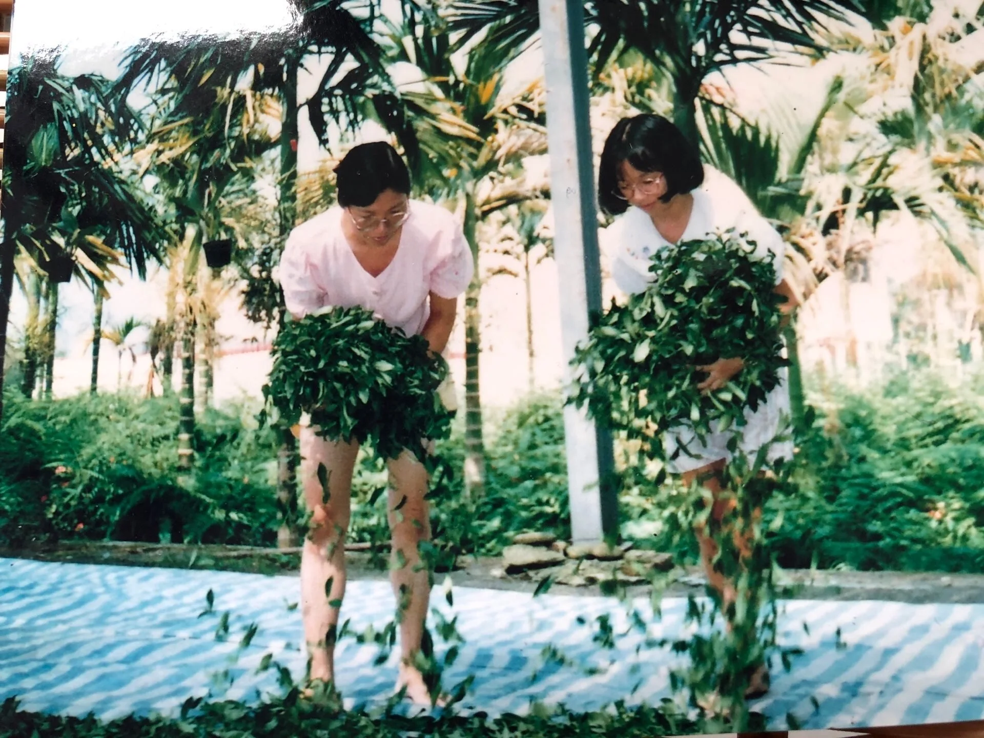 你是做什麼的？我做茶的。