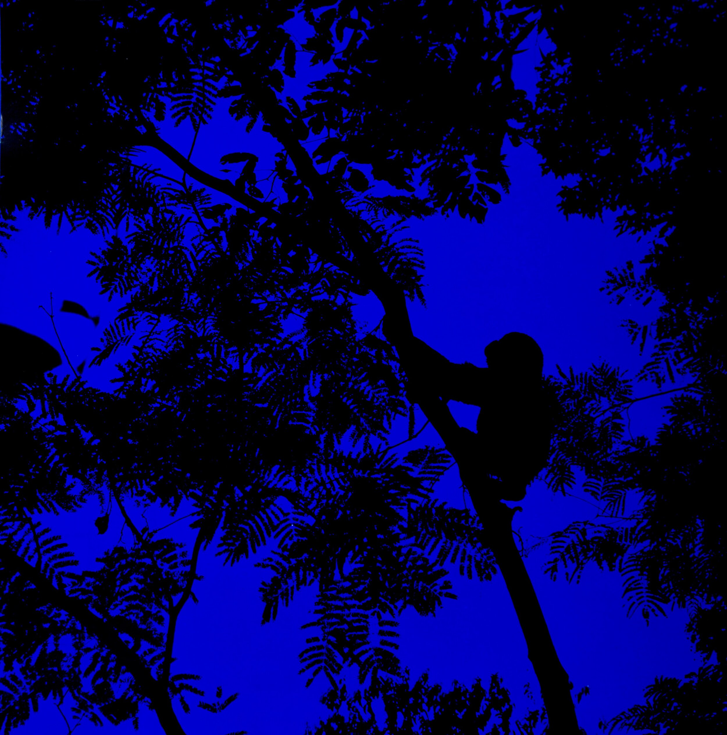 Kouki Silhouette-blue