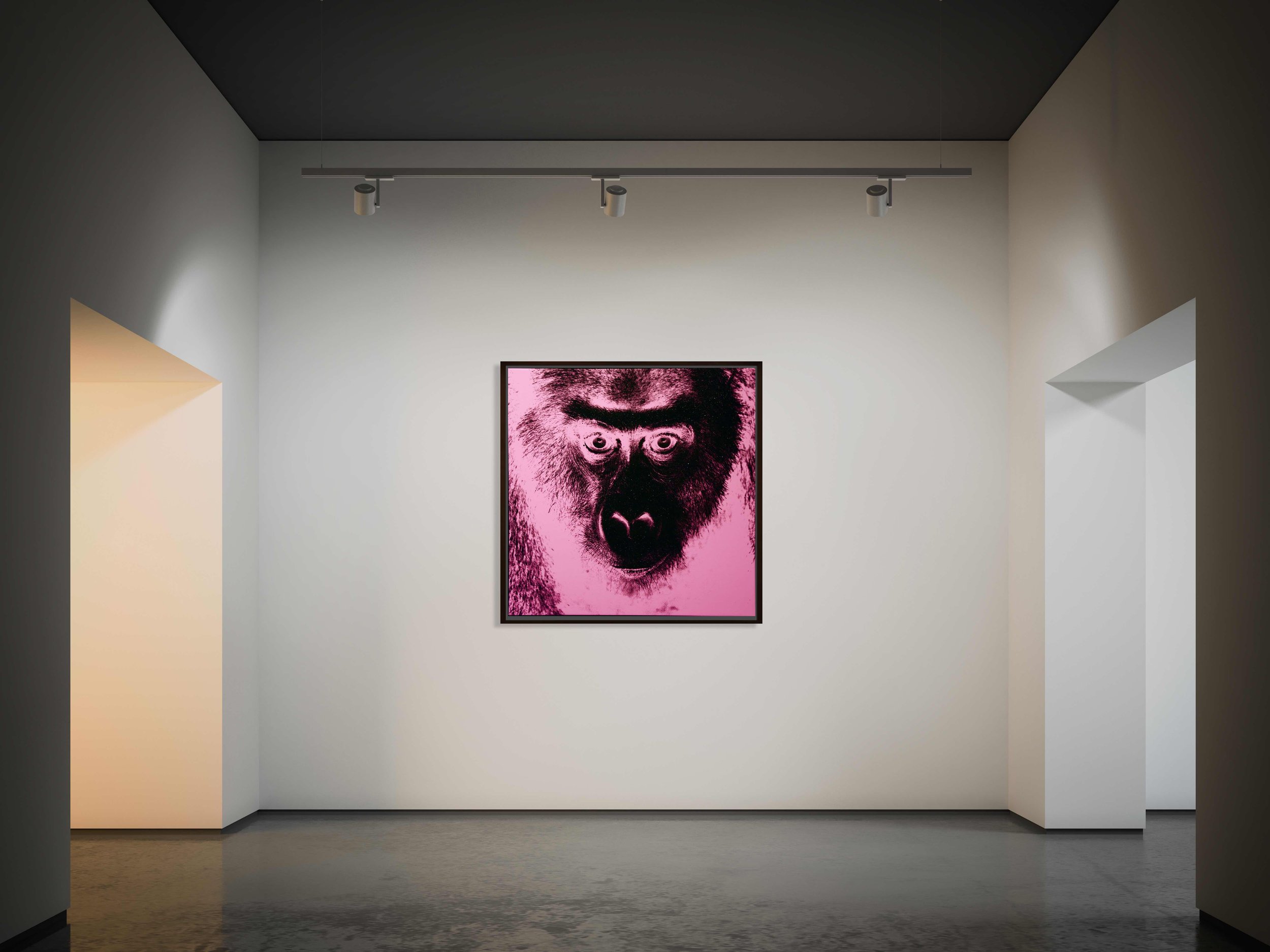 Pink gorilla 3.jpg
