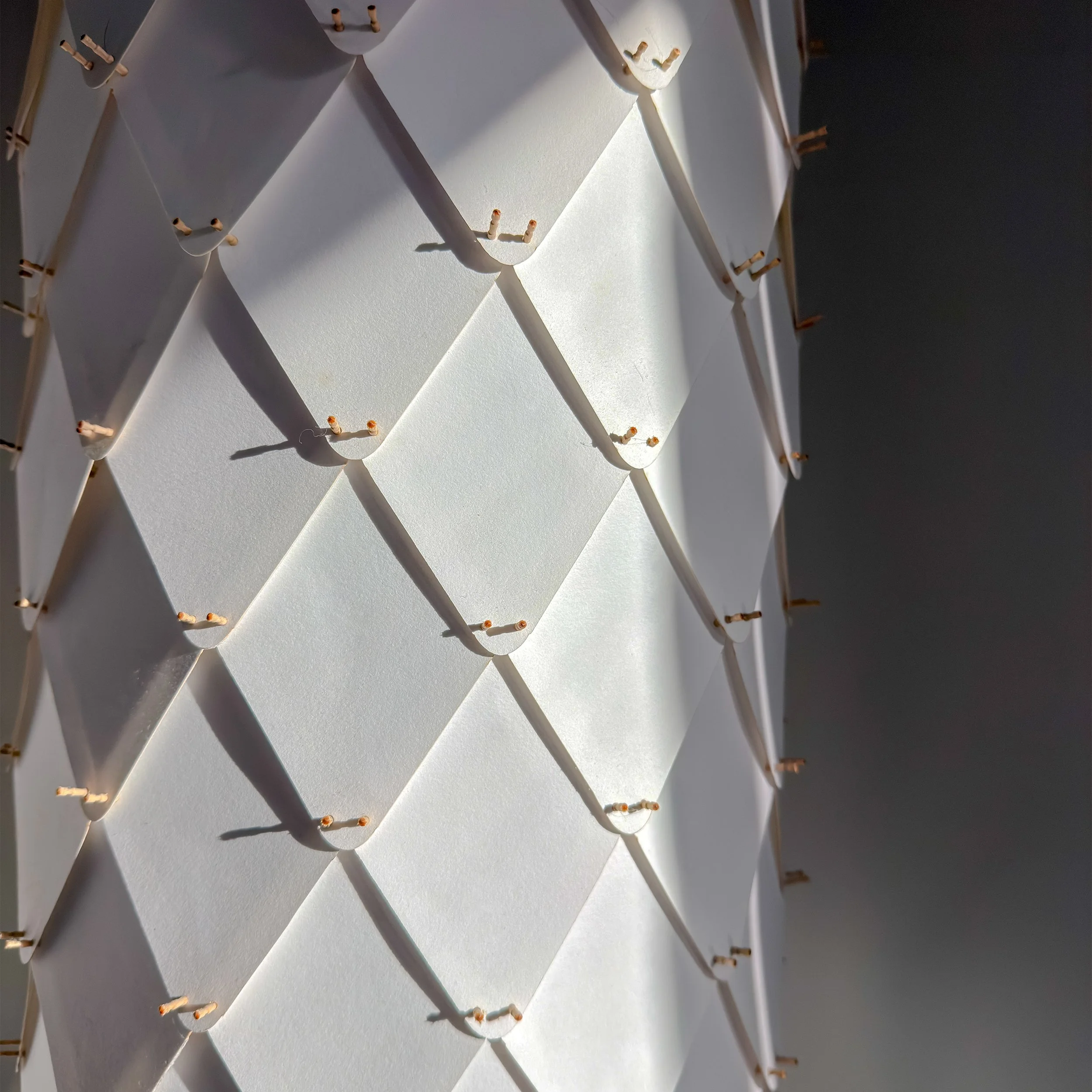 PAPER LAMP DETAIL.jpg