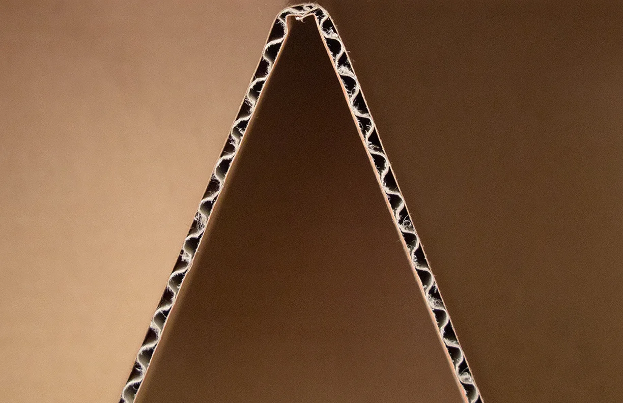nit-detail.jpg