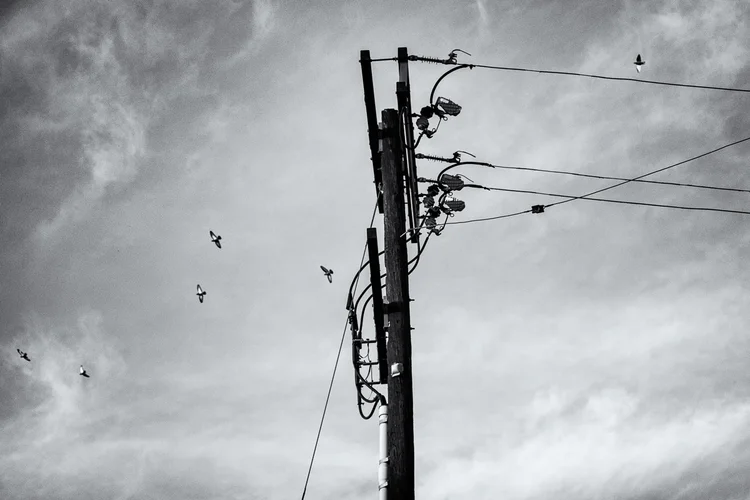 telephonpole.jpg