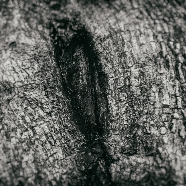 HI_2015L1040650-Edit.jpg