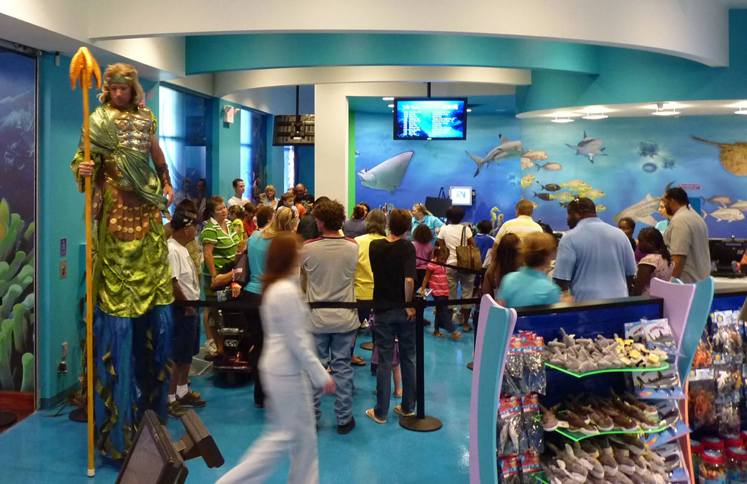 08050 Sea life web images 2018_4.jpg