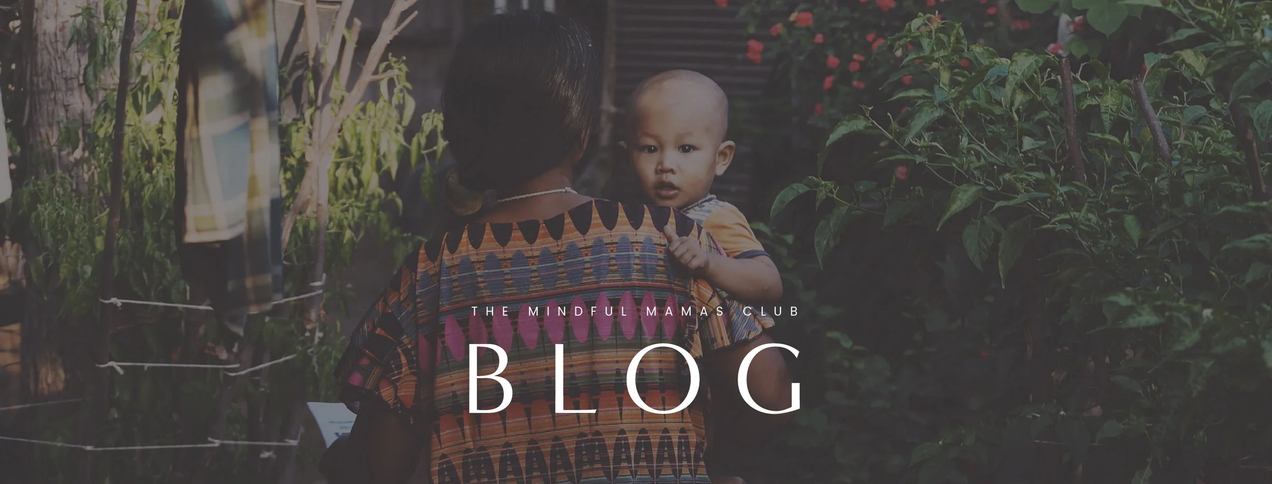 mmc-BLOG-banner-final-12.jpg