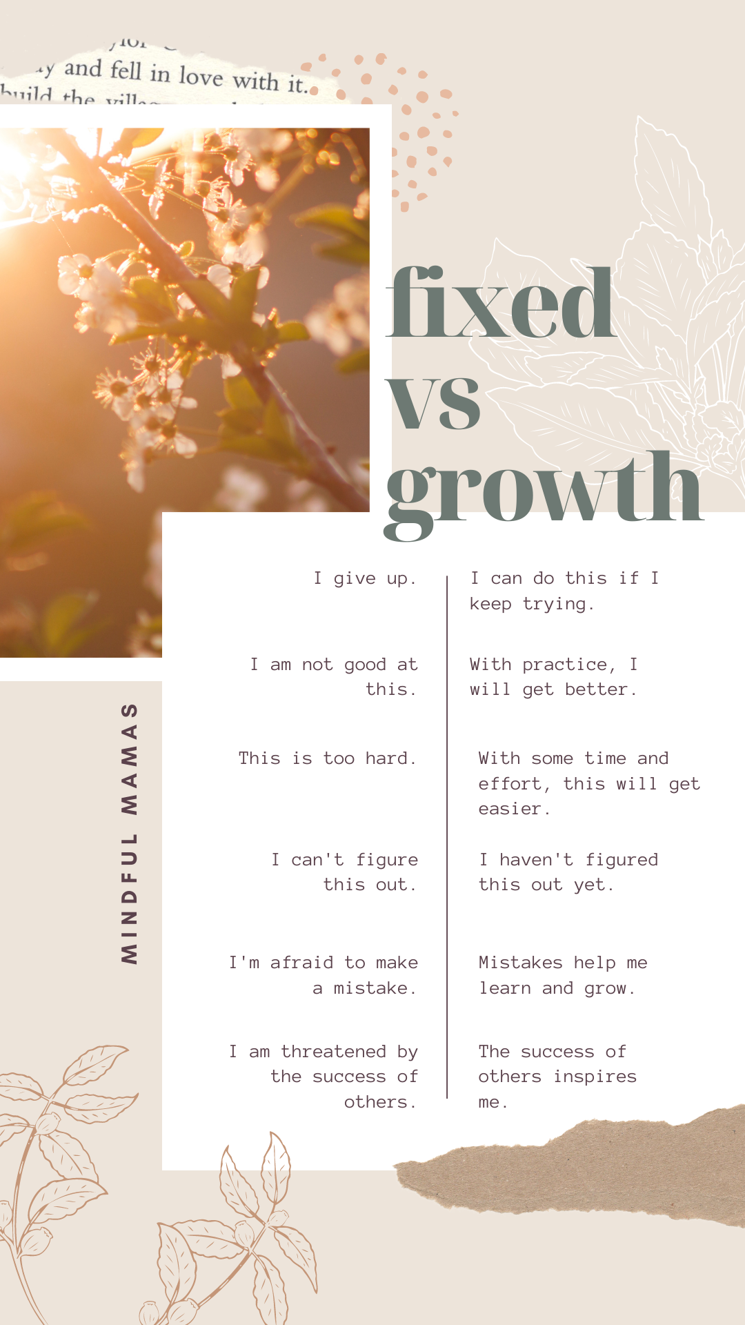 Fixed vs Growth Mindset (1).png