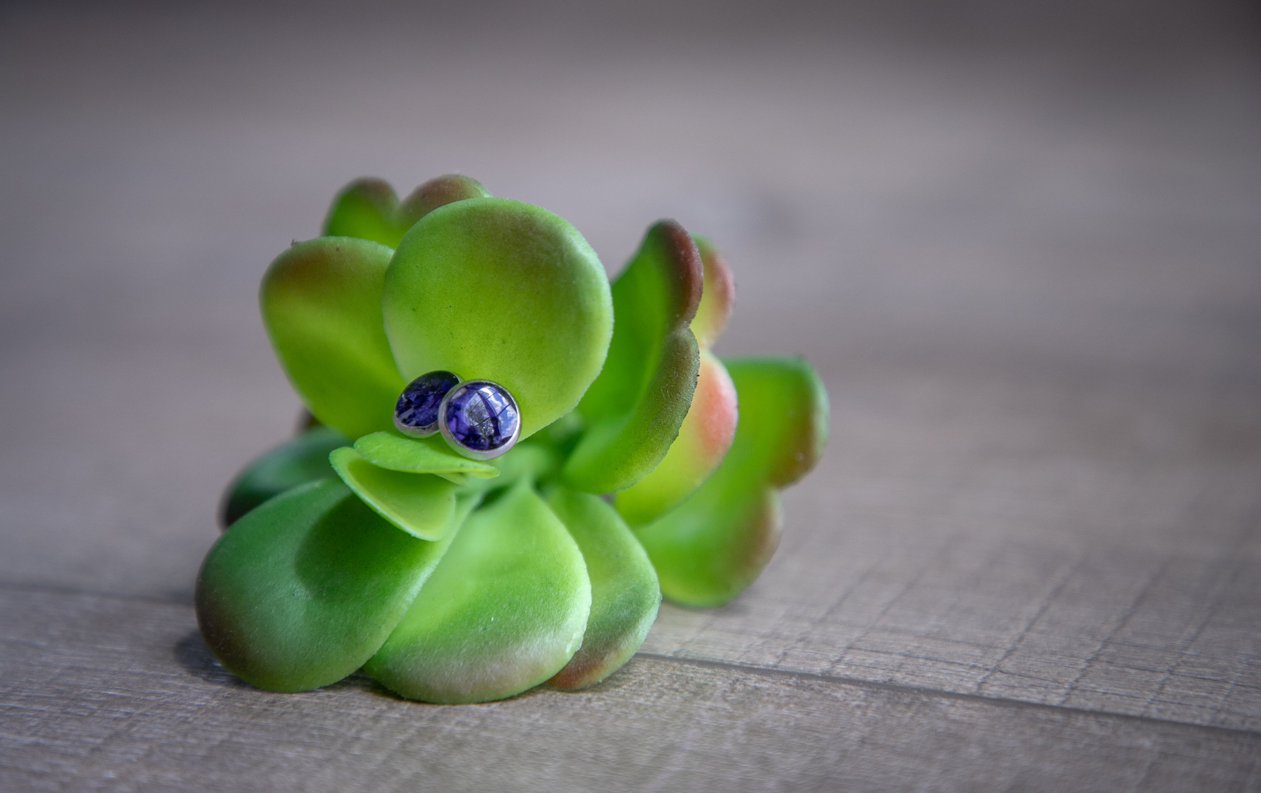 Earring Stud_purple_Sample.jpg