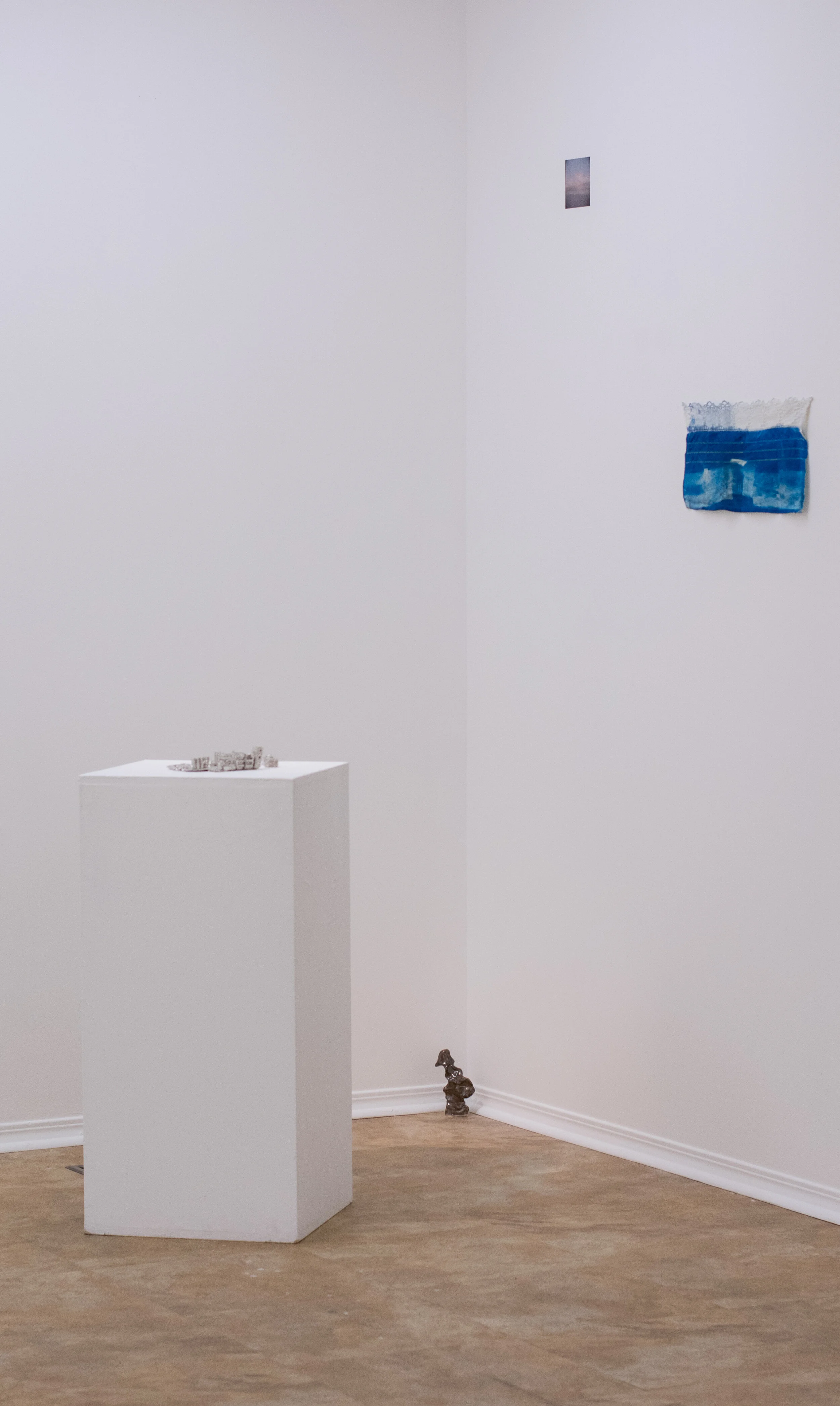 DSC_0038.jpg