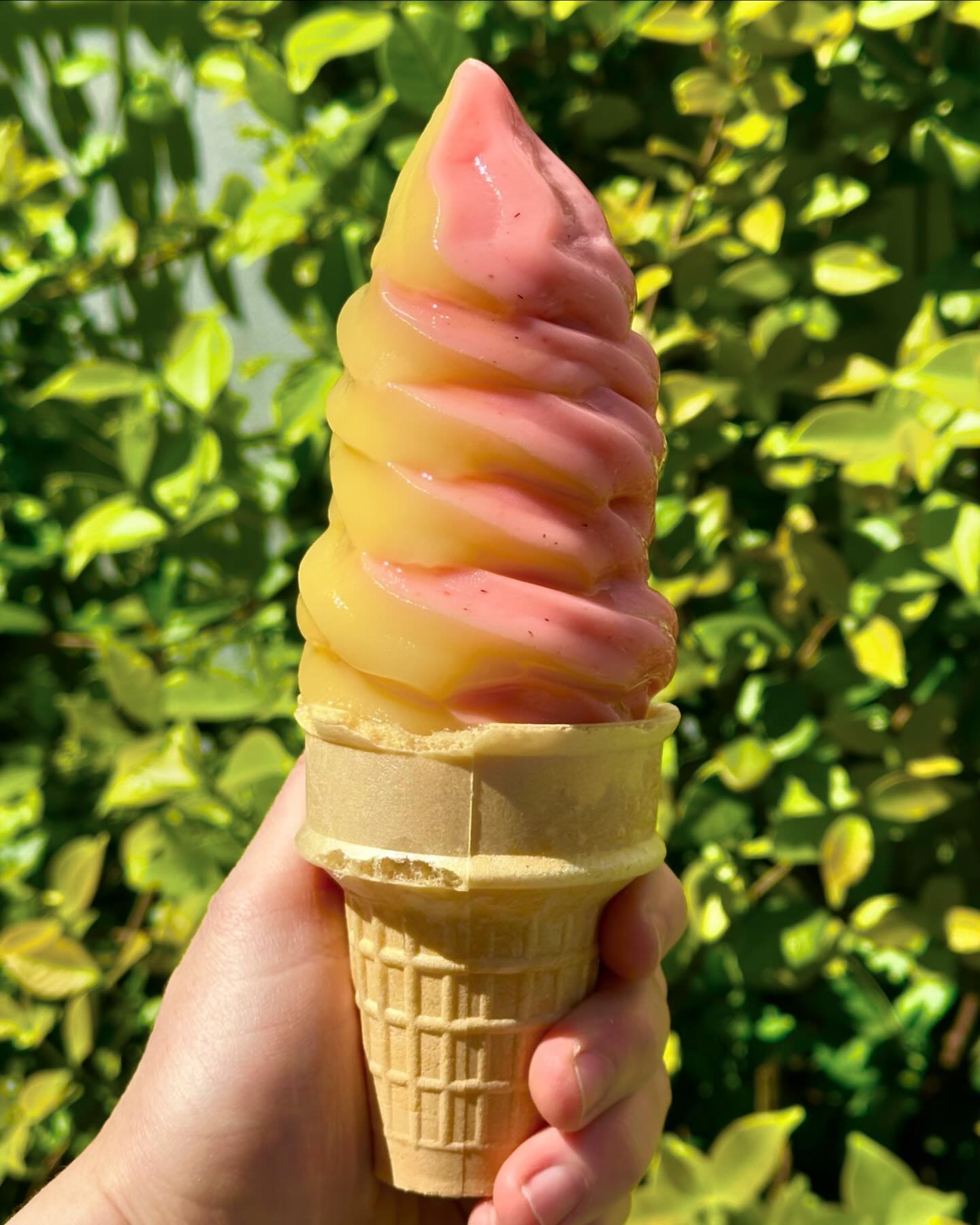 Very important update for strawberry lovers: Strawberry Sorbet is back and now swirling with Pineapple! 🍍✨ 🍓