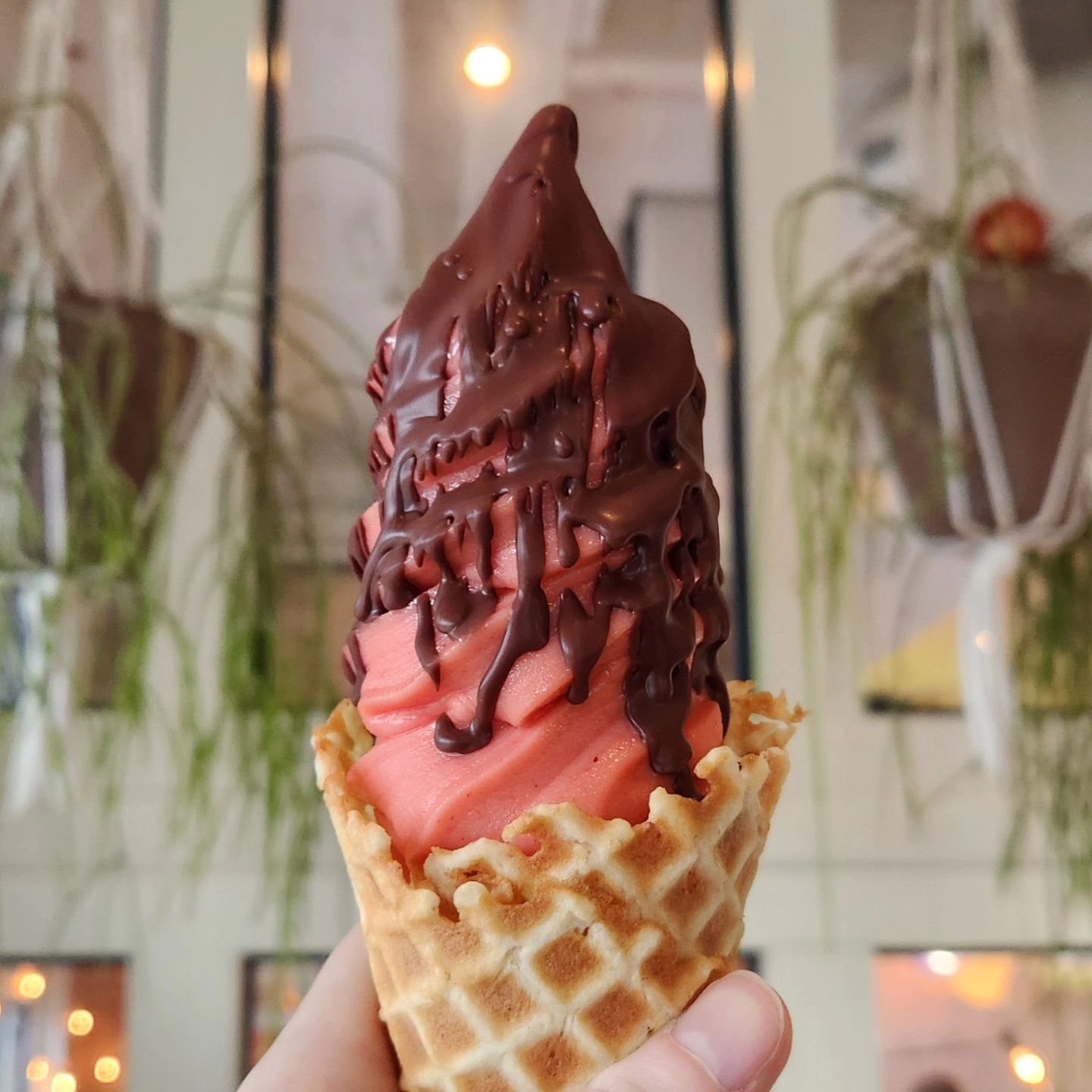 It's grey outside, but cozy in our caf&eacute;! Come treat yourself to something nice, like a chocolate covered strawberry sorbet! 🍓 🍫