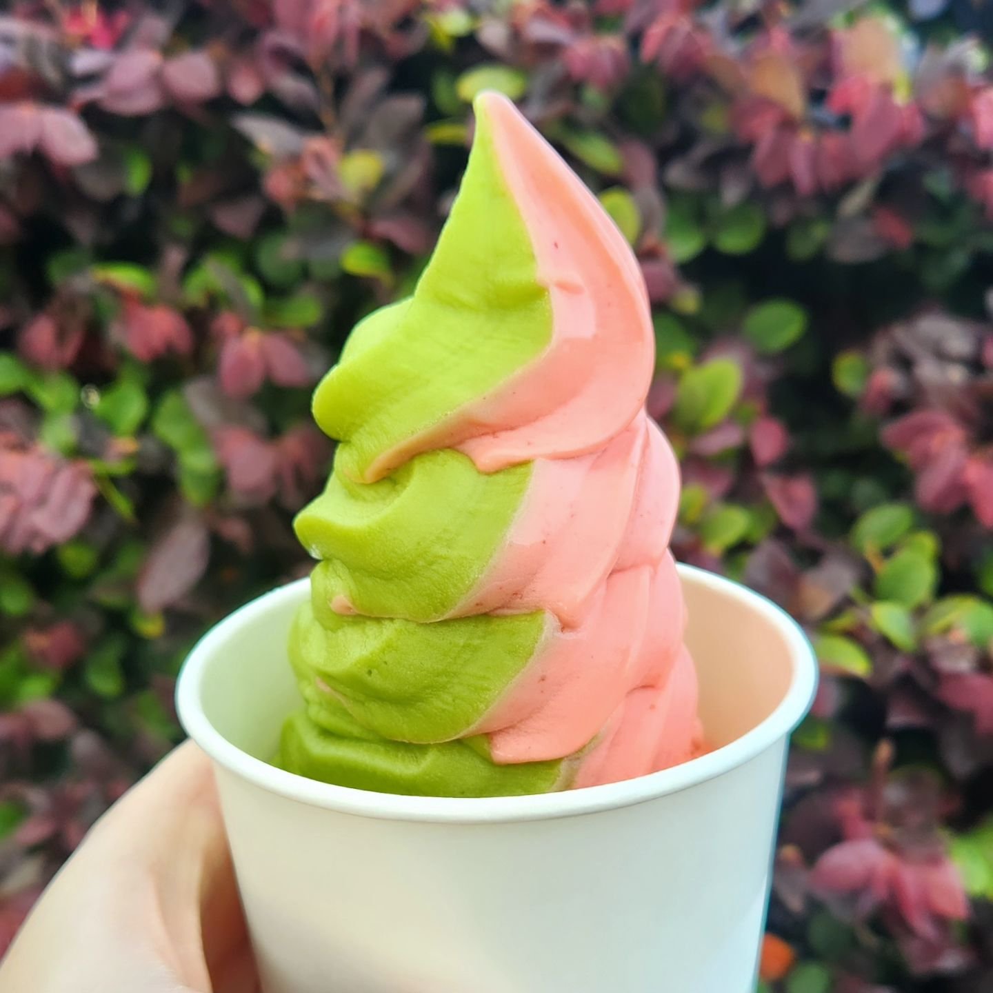 We'll have a special strawberry matcha swirl for a limited time! Come on downand try this dreamy combo yourself! 🍦🍵🍓