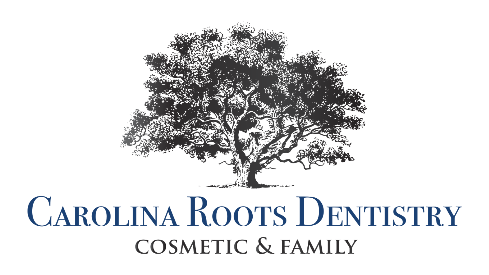 Partner logos (4).png