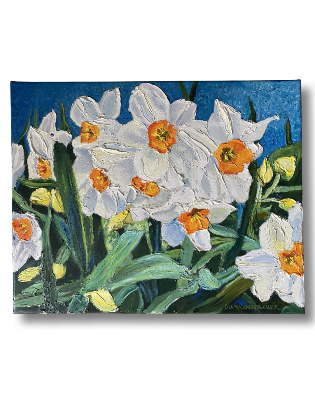 D1556A48-A1F9-4455-8A8A-E5C52B0083D7