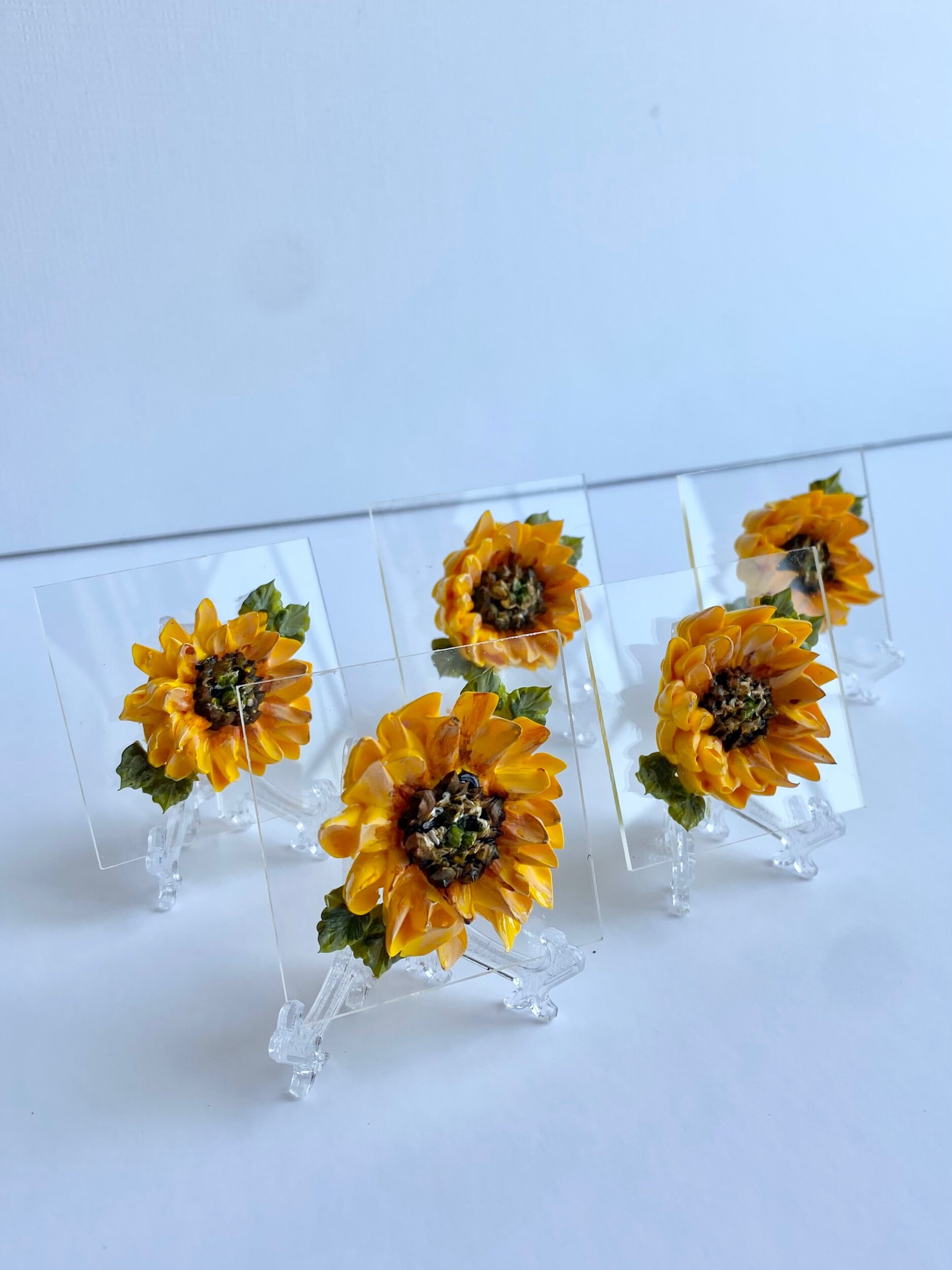 E73E74C1-7330-4D7E-8DBF-9E4F6C2718A5