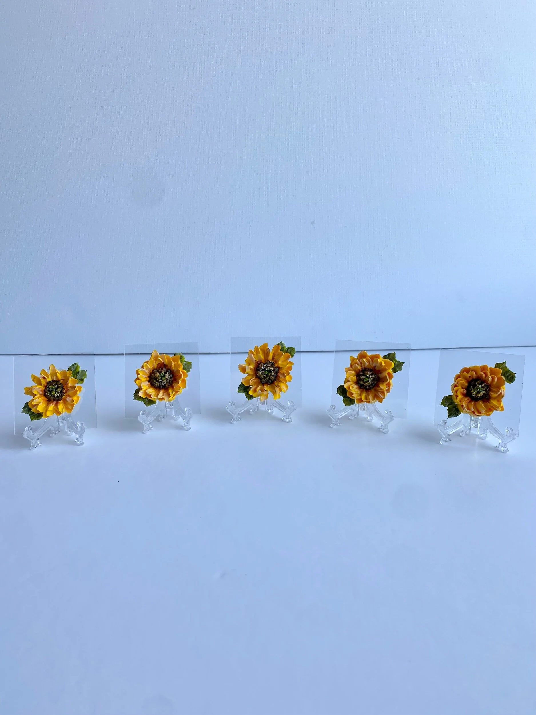 C3727B55-8420-4AC2-8827-F2348A4C392A